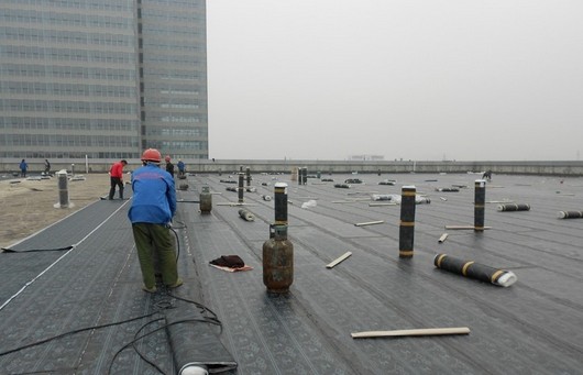 楼面整体防水施工现场